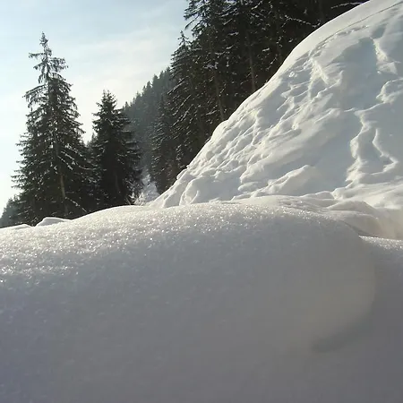 Sebastian * كابل